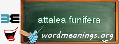 WordMeaning blackboard for attalea funifera